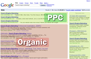 SEO Organic Search