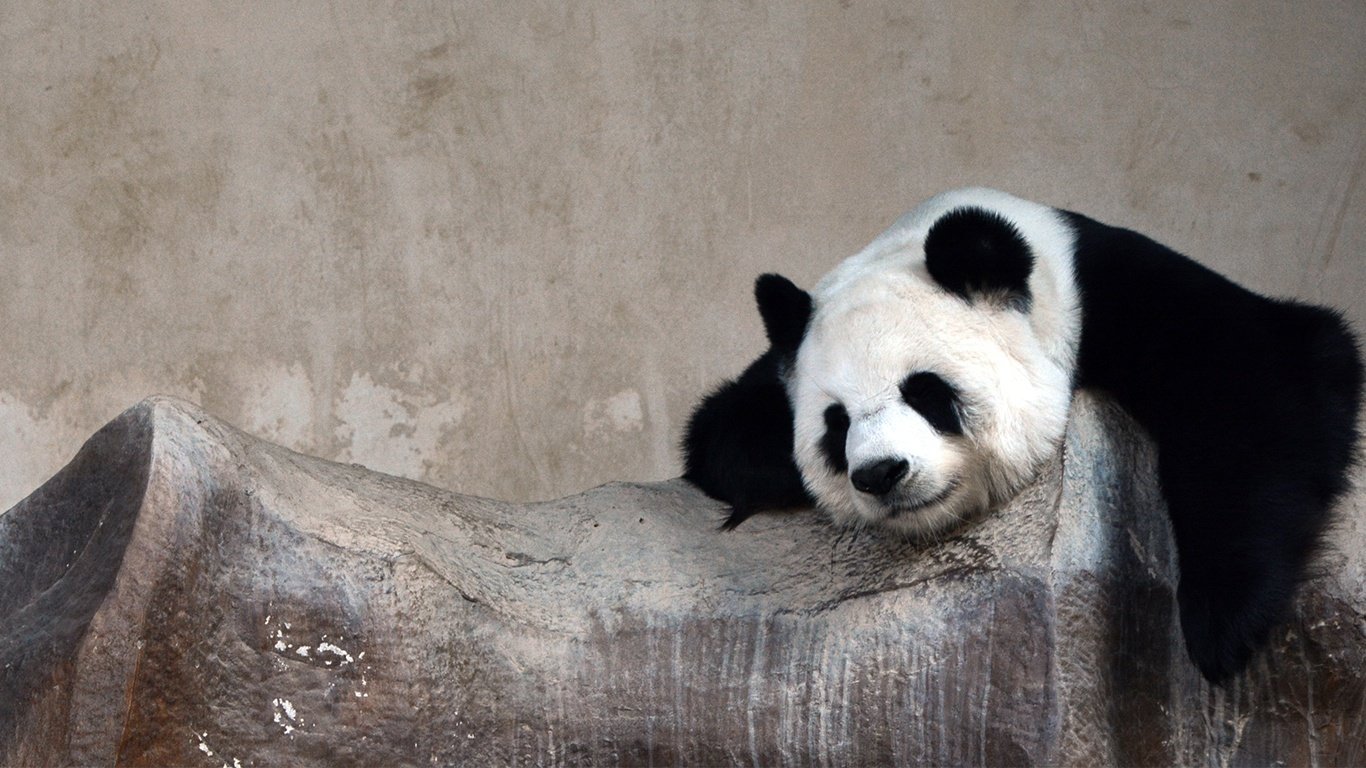 Panda And Penguin Proof SEO Strategies